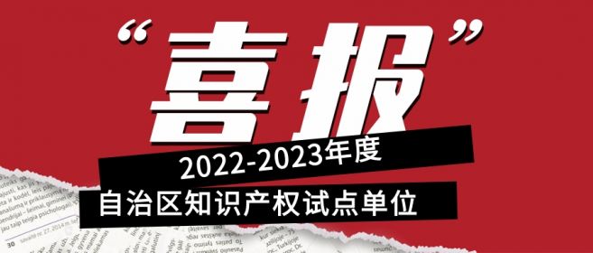 喜报！宁夏盾源聚芯获批“2022-2023年度自治区知识产权试点单位”